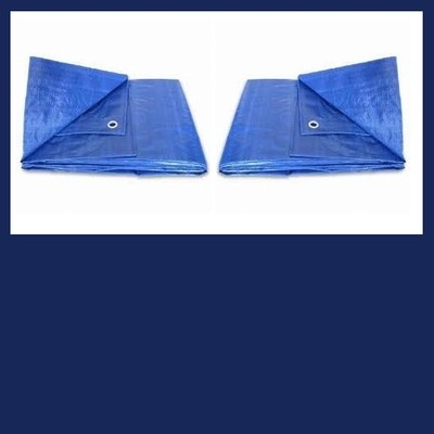 Tarps/Visqueen