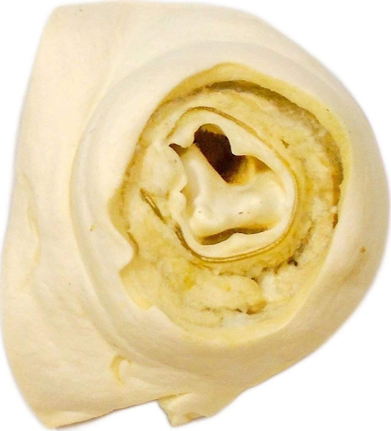 BBB USA NOT RWHD DONUT CHW C=25