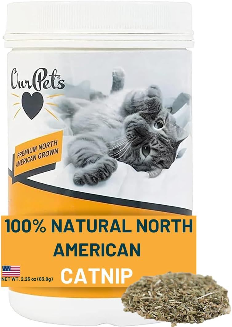 Cosmic Catnip 2.25 Jar