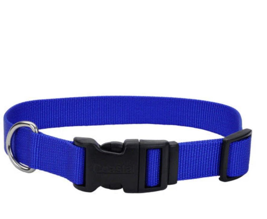 Coastal Adjustable Nylon Dog Collar with Plastic Buckle Blue XS