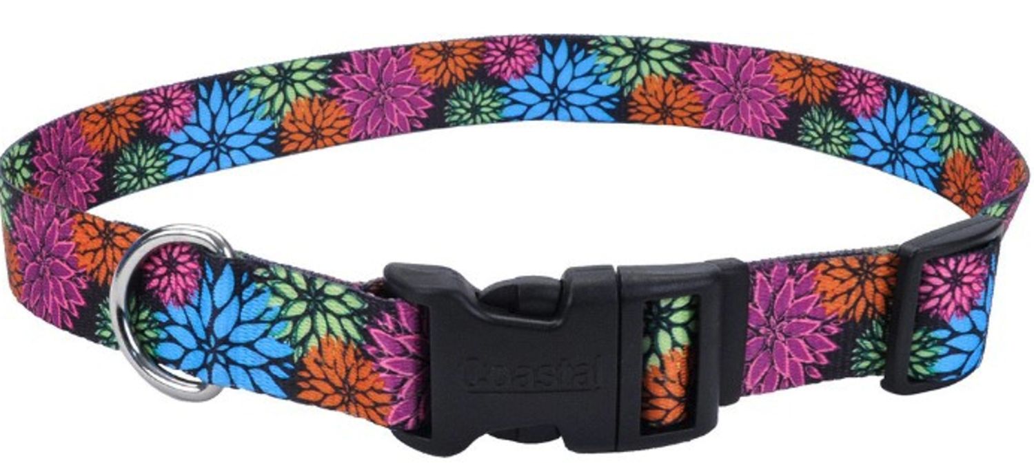 Coastal Adjustable Dog Collar, Wildflower, X-Small