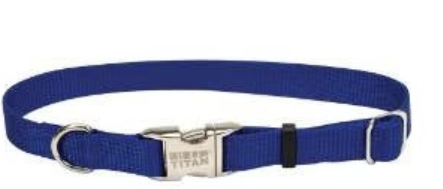 Coastal Nylon Adjustable Spectra Collar W/Metal Buckle 1"-Blue LG