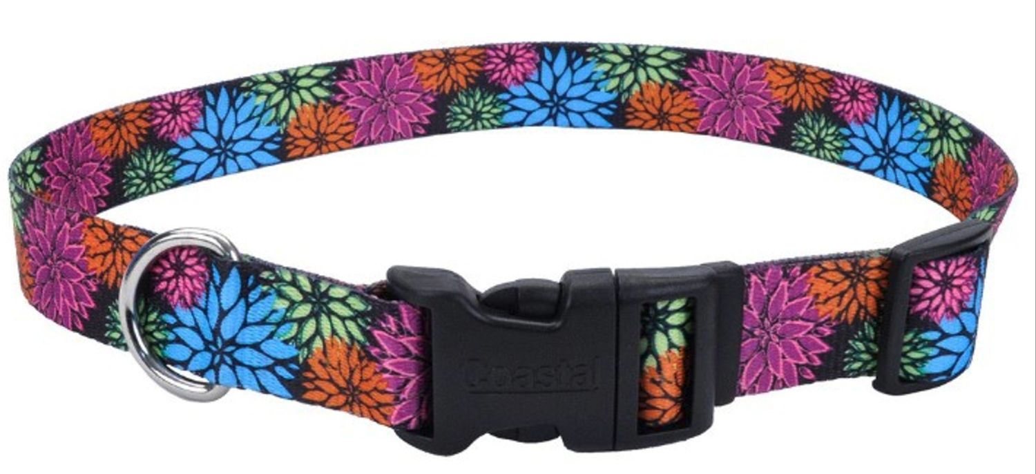 Coastal Styles Adjustable Dog Collar, Wildflower, Medium
