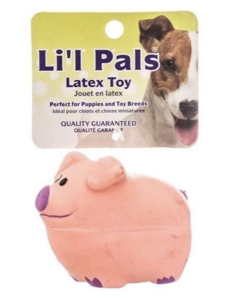 Coastal Li'L Pals Latex Pig Dog Toy