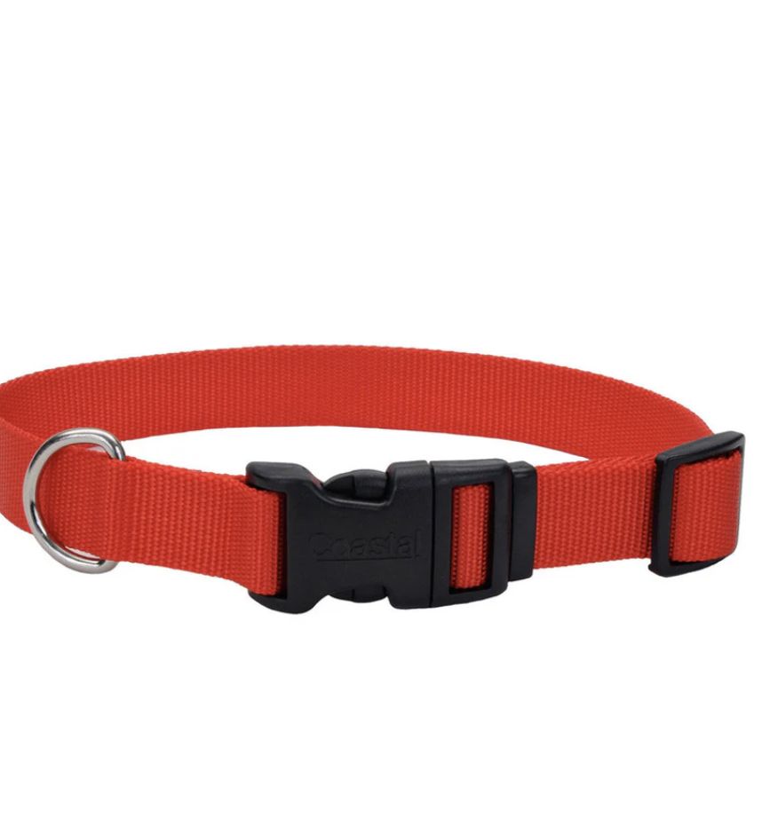Coastal Adjustable Nylon Dog Collar with Plastic Buckle Red 3/4 in x 14-20 in