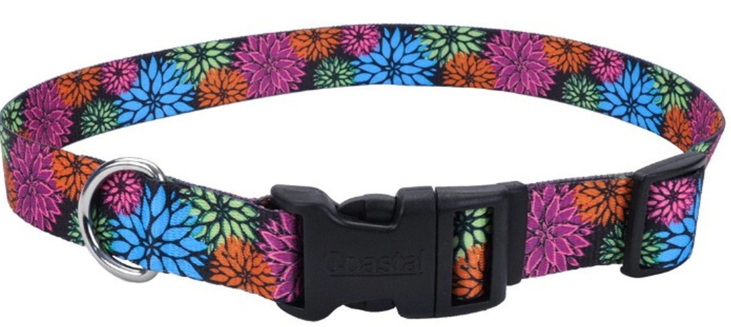 Coastal adjustable Dog Collar, Wildflower, Small