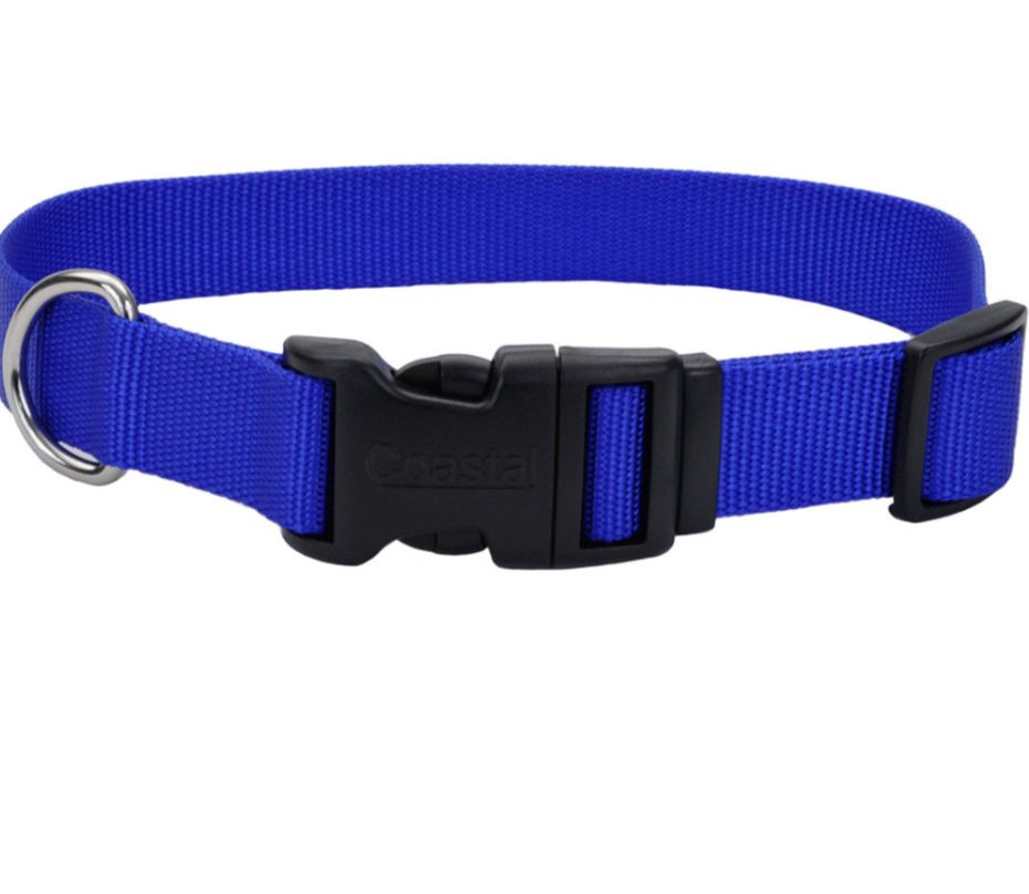 Coastal Adjustable Nylon Collar with Tuff Buckle for Dogs, Blue, 1-in