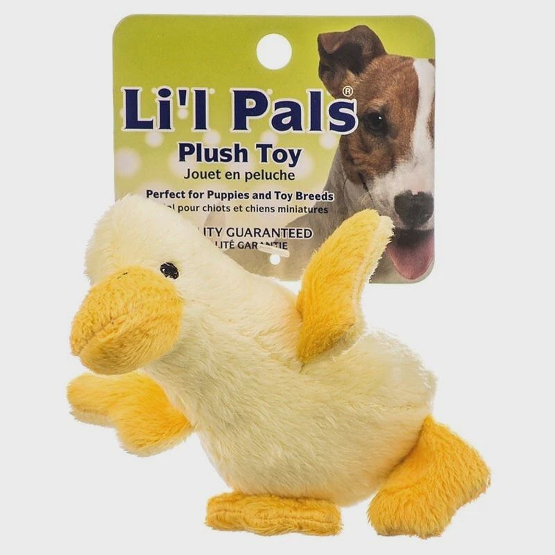 Coastal Li'l Pals Ultra Soft Plush Duck Dog Toy