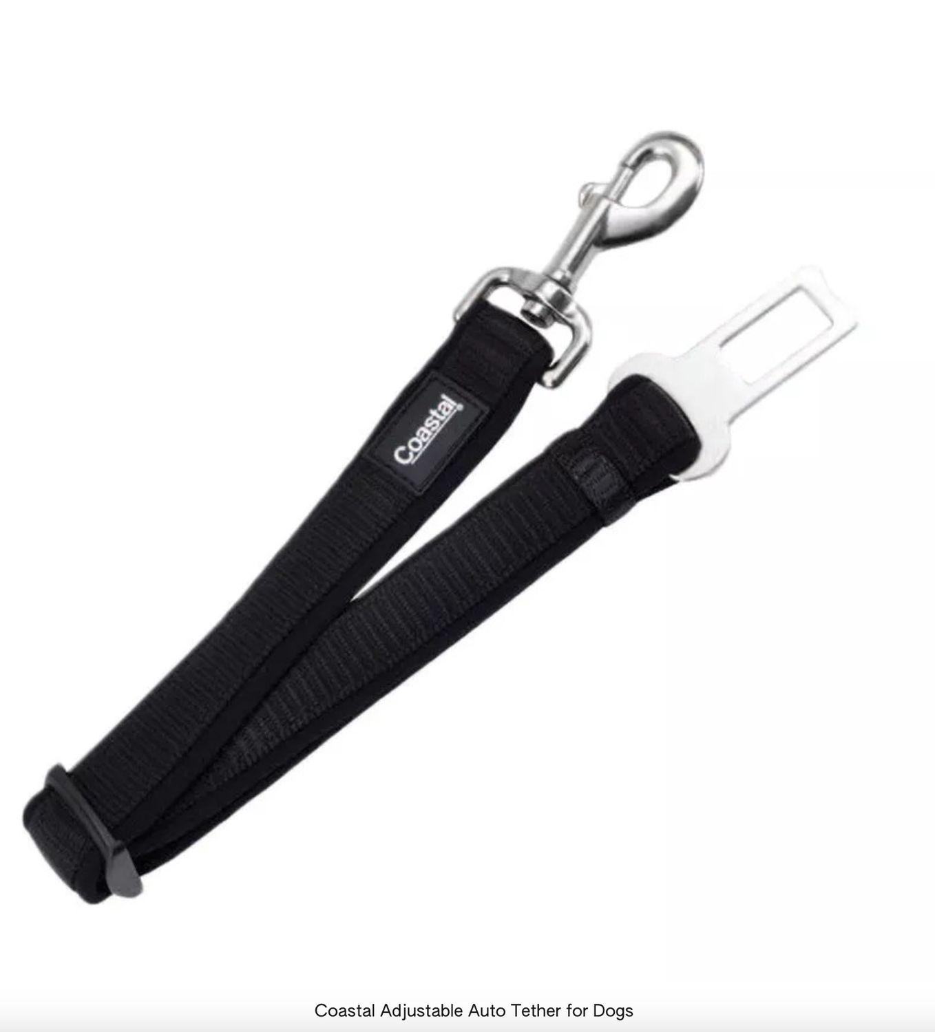 Coastal Adjustable Auto Tether for Dogs