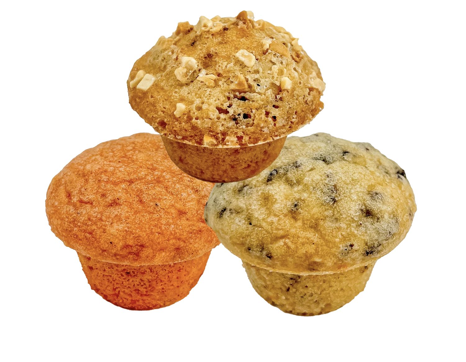 Muffin' Like A Good Cup of Joe Cookie