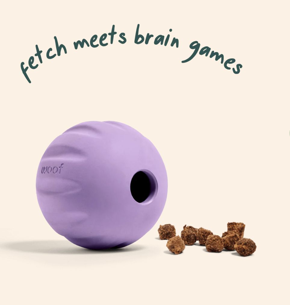 WOOF FLYBALL LAVENDER