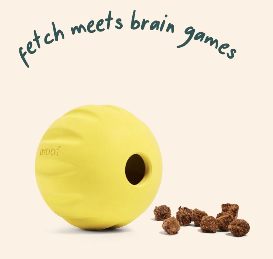 WOOF FLYBALL YELLOW