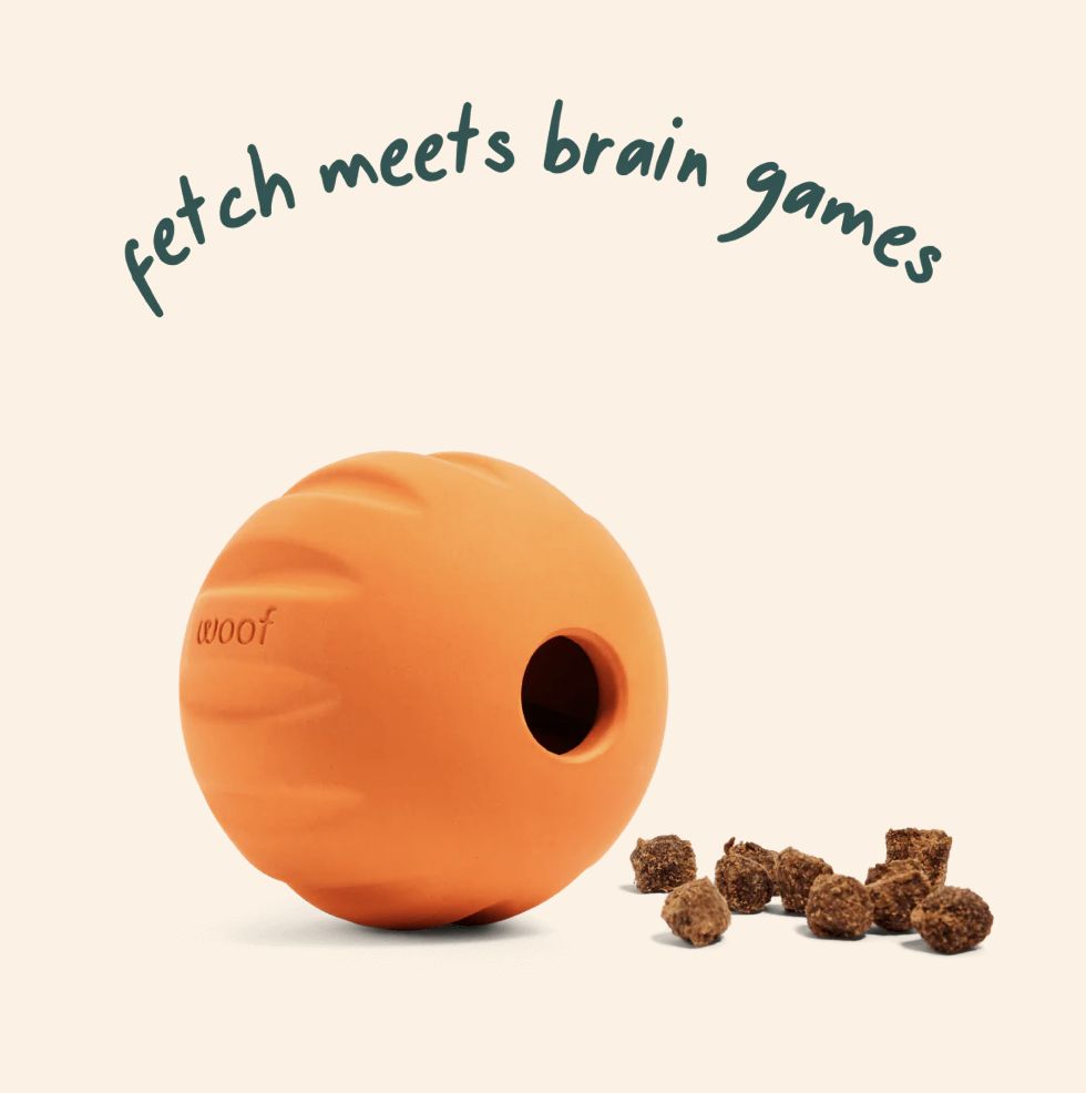 WOOF FLYBALL ORANGE