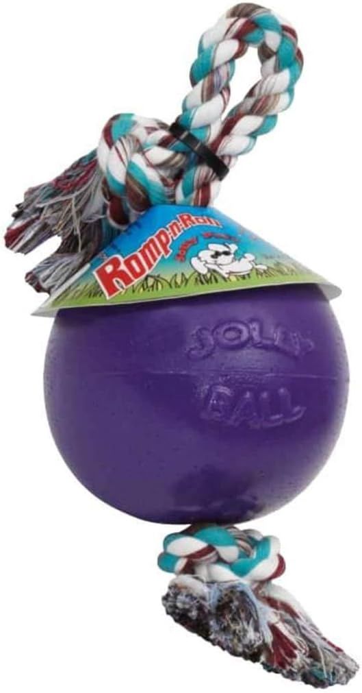 Jolly Pets Romp-n-Roll Rope and Ball Dog Toy, Large, Purple,