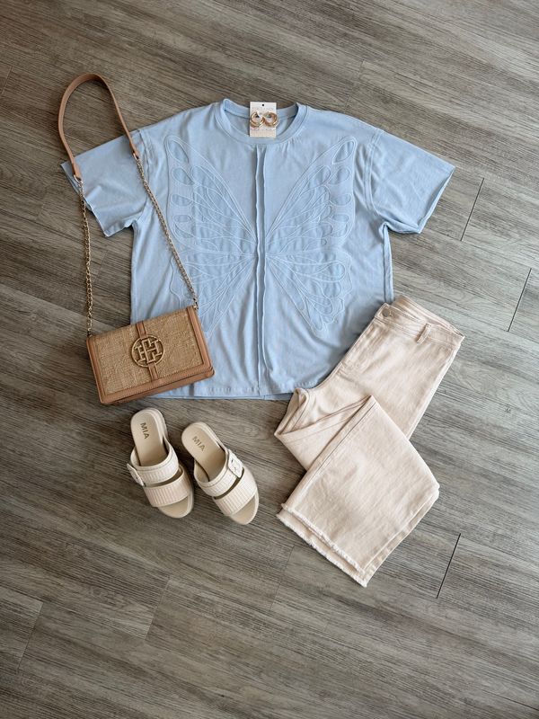 Butterfly Wing Powder Blue Top