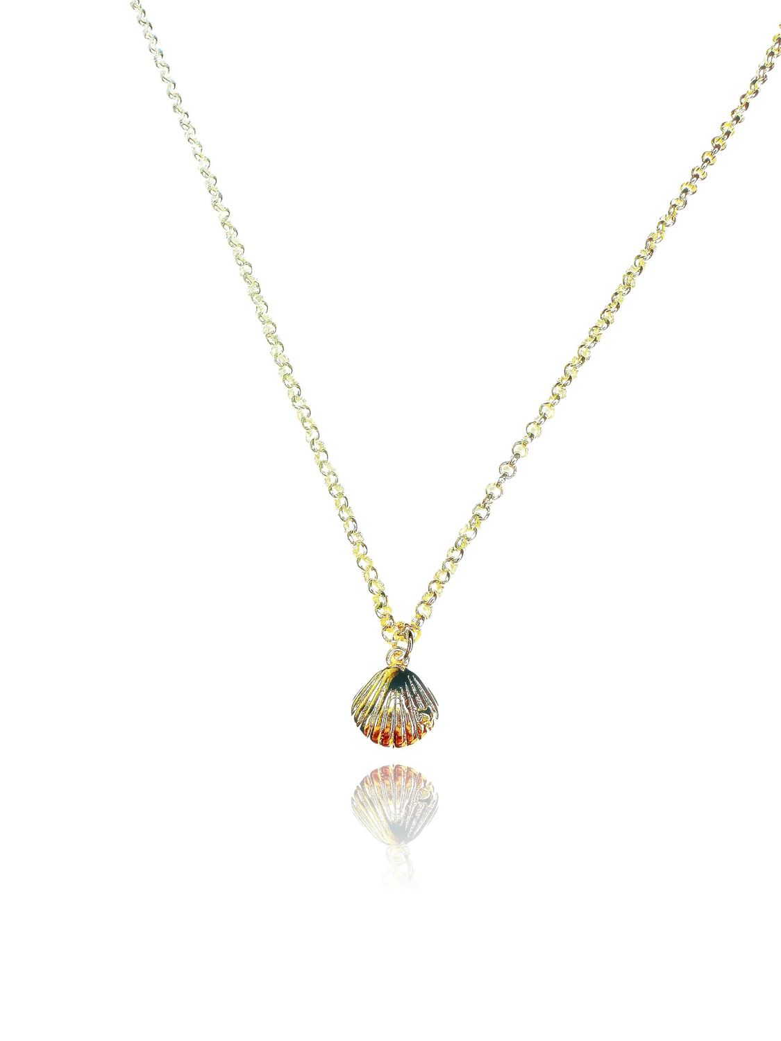 Seashell Necklace