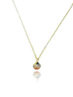 Seashell Necklace