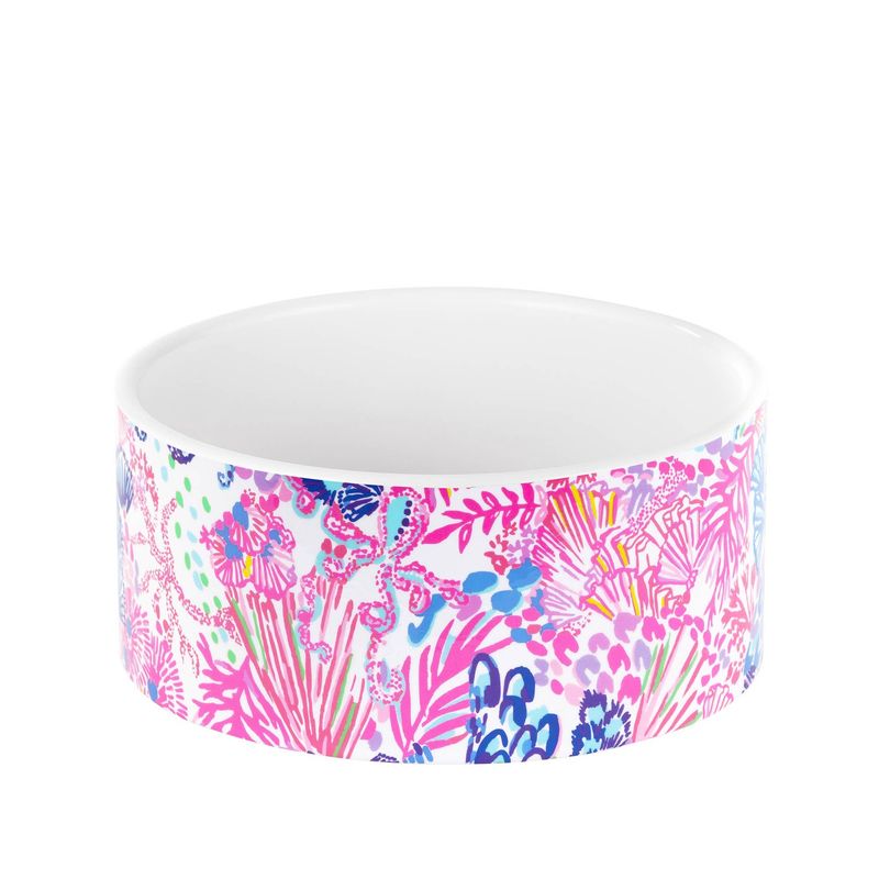 Dog Bowl, Splendor in the Sand