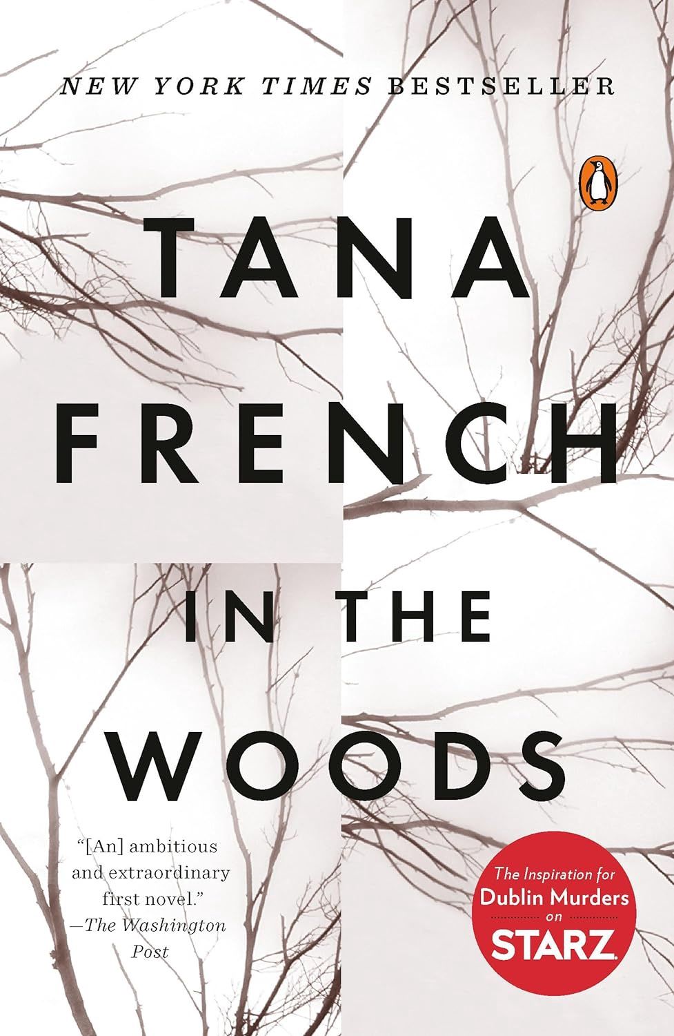 In The Woods By Tana French