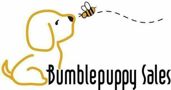 BumblePuppy Online: Estate Jewelry