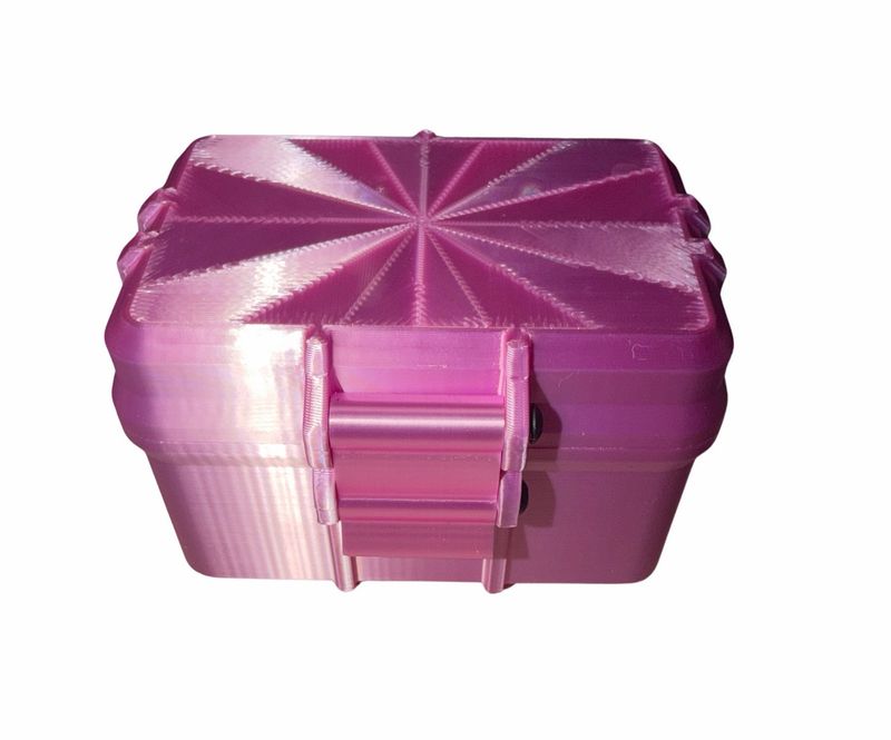 Dual-Size Vial Storage Case – Holds 6 × 3 mL and 4 × 10 mL Vials