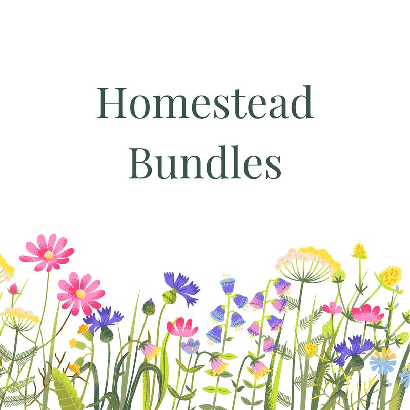 Bundles