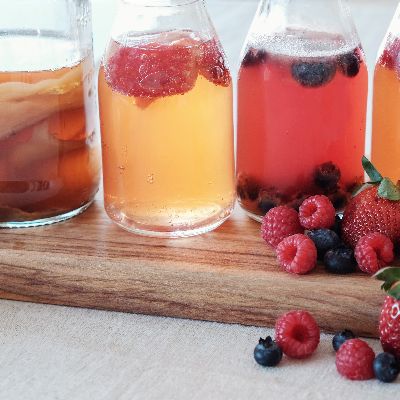 Kombucha Starter Kit