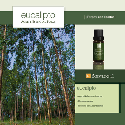 eucalipto 10ml