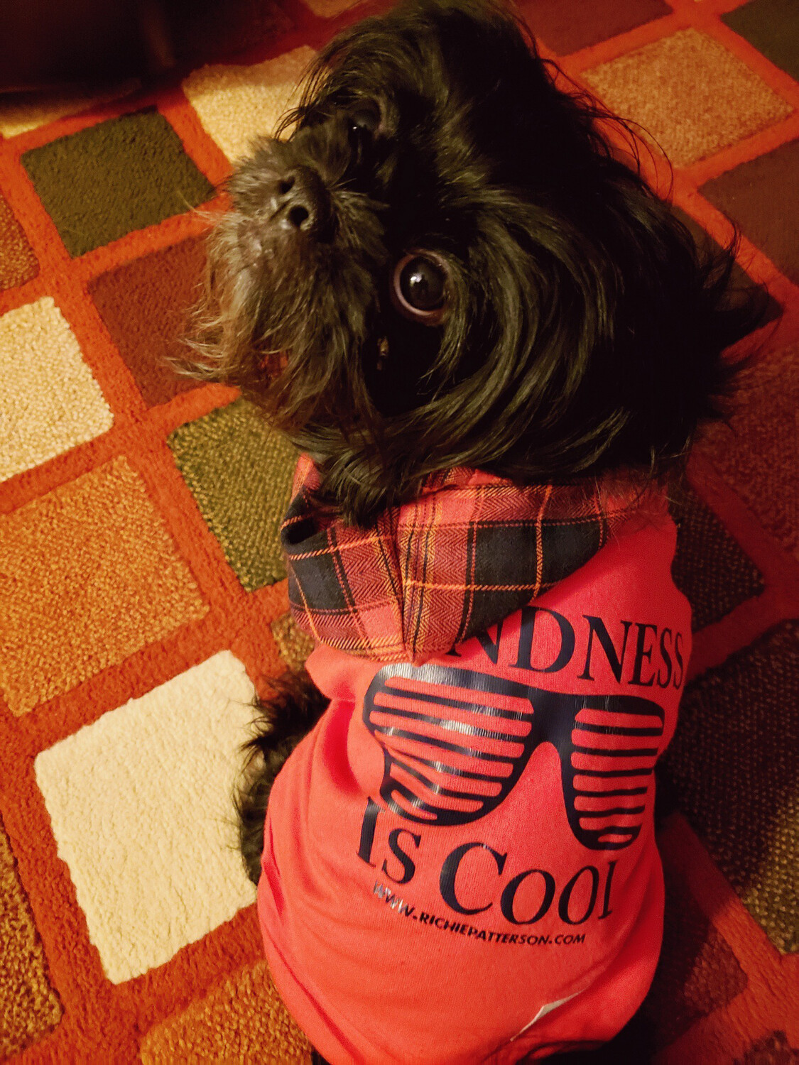 KINDFRIDAY KINDNESS IS COOL ANIMAL HOODIES (XS, SMALL, MEDIUM, LARGE, XL &amp; 2XL ONLY)