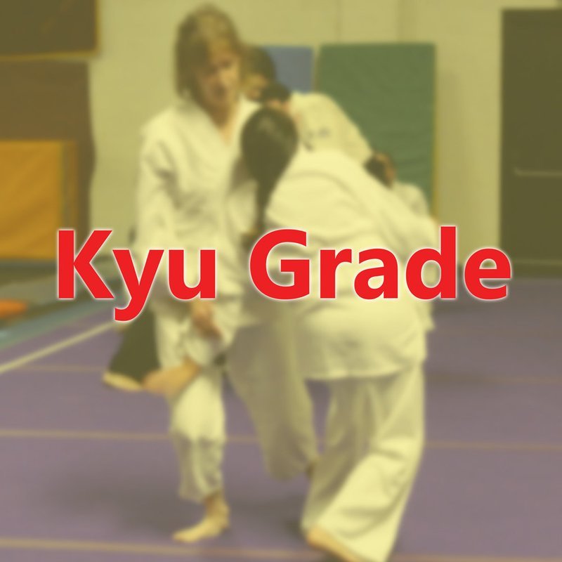 Kyu Grade Student Annual Membership
