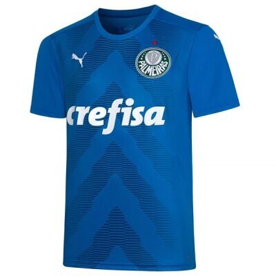 22-23 Palmeiras Goalkeeper Shirt Camisa Goleiro Blue