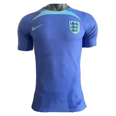 2022 England Sky Blue Training Jersey (Player Version)