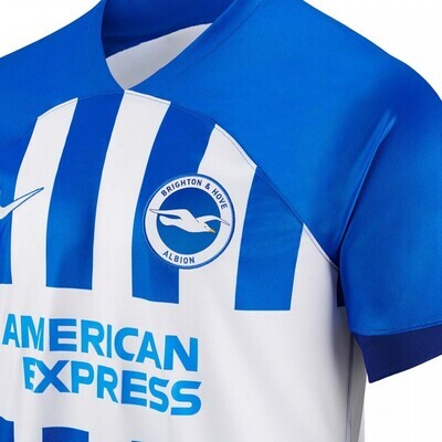 Brighton & Hove Albion Home Kaoru Mitoma 22 Jersey 2023-2024