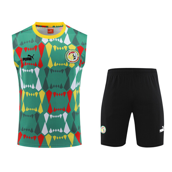 23-24 Senegal Football Culture Vest Jersey Kit