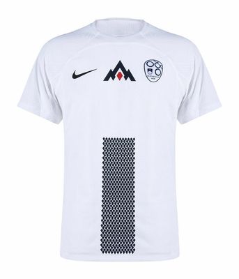 Slovenia Home Soccer Jersey 2024
