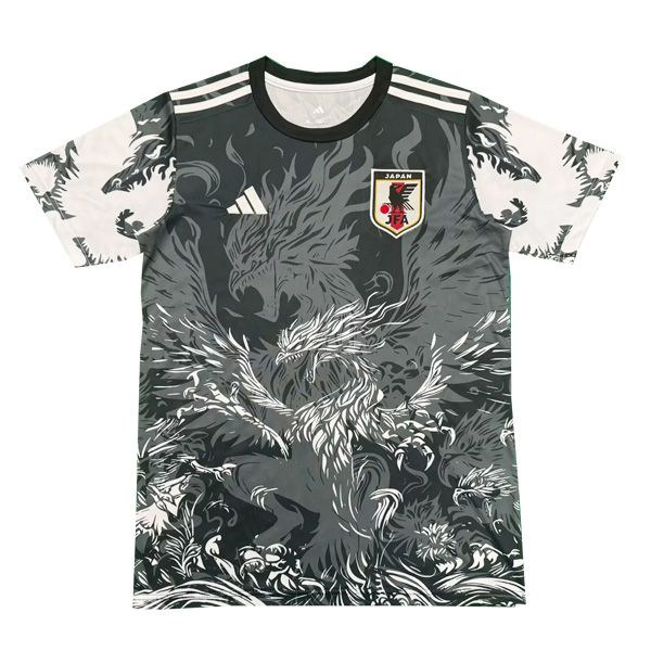 2025 Japan Concept Jersey E