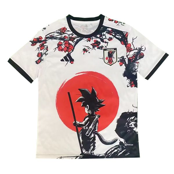 2025 Japan Concept Jersey F