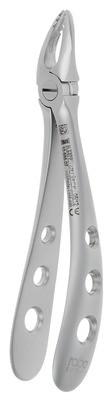 Incisors
