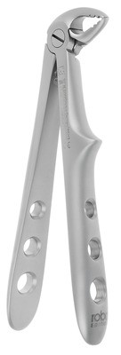 Incisors