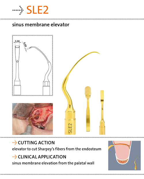 SLE2