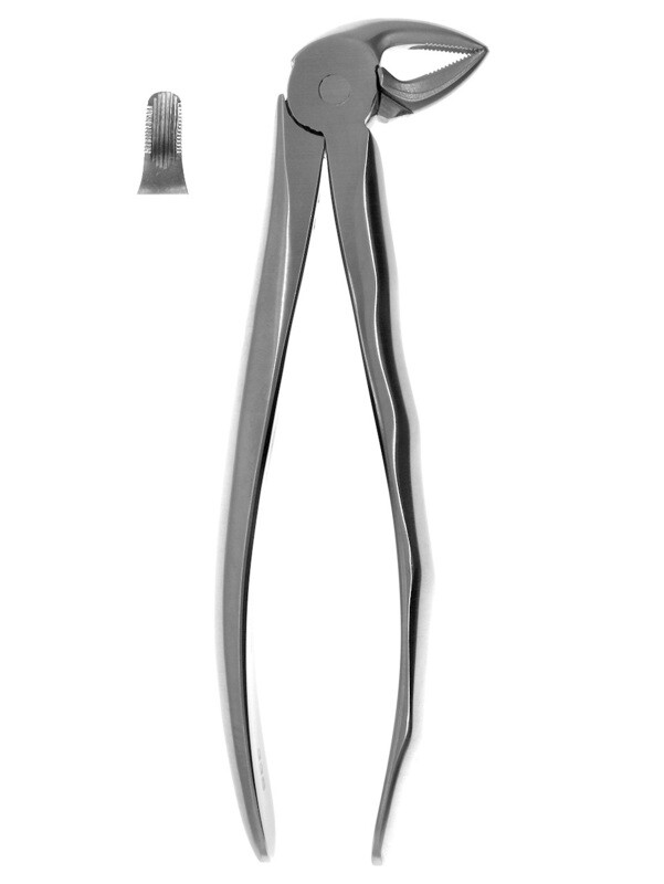 EXT FORCEP #33S CHILD LOWER ROOT