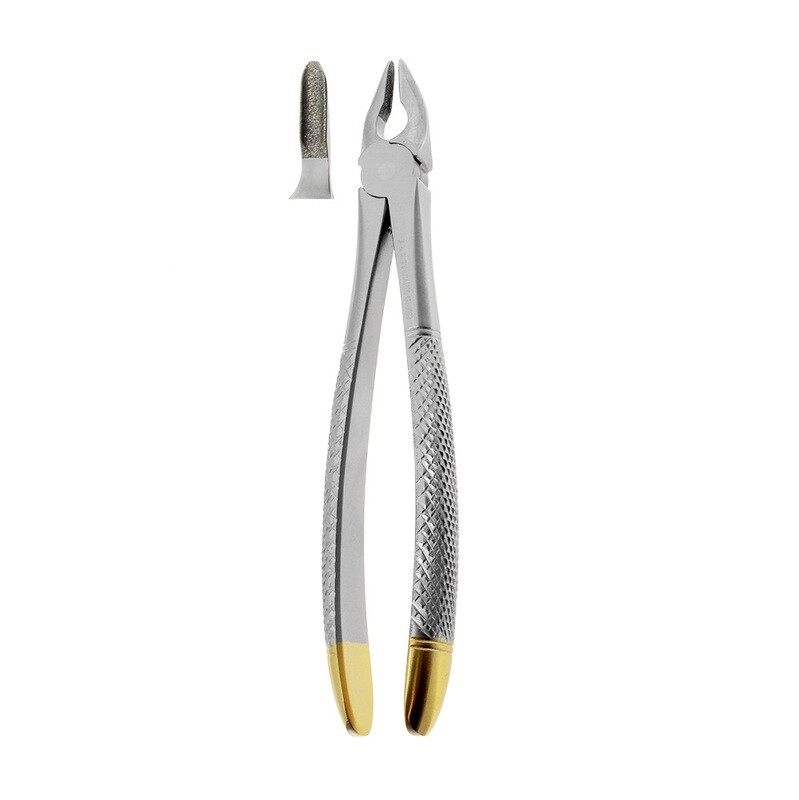 Extraction Forceps #1102 Diamond Upper Incisors &amp; Canines