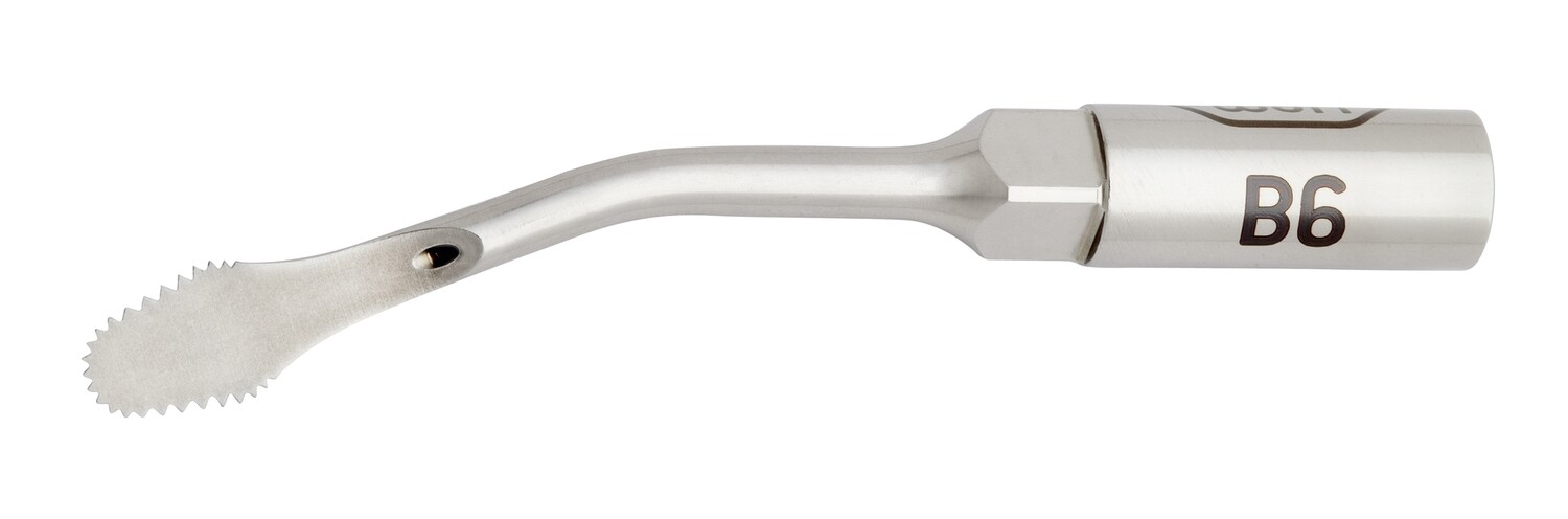 B6 tip