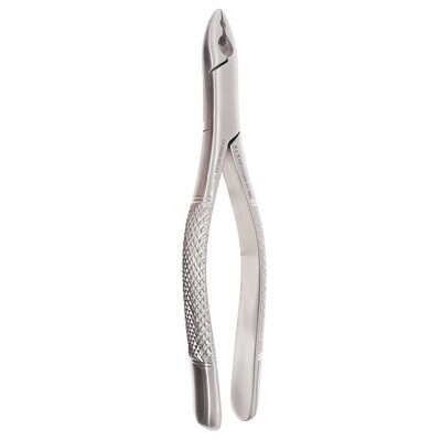 EXTRACTION FORCEP #1AS CHILD UPPER INCISORS &amp; ROOTS