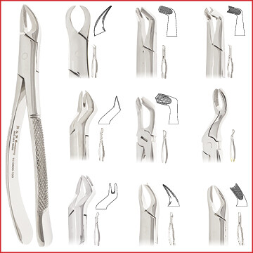 Forceps