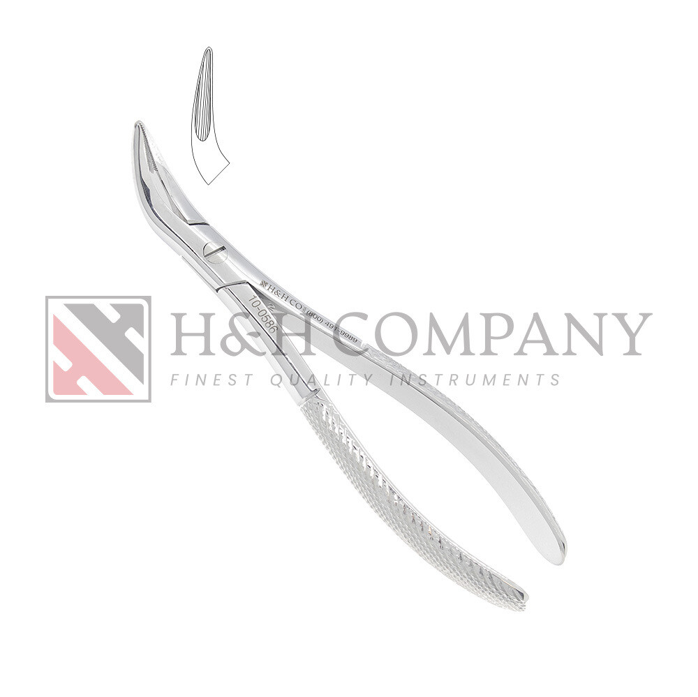 EXT FORCEP #586 WITZEL LOWER ROOTS