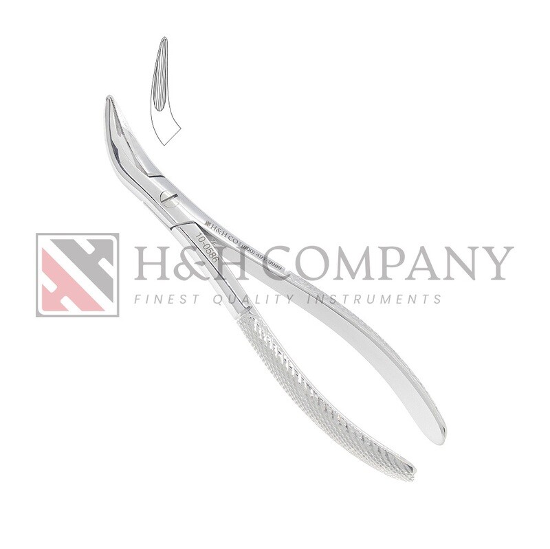 EXT FORCEP #586 WITZEL LOWER ROOTS