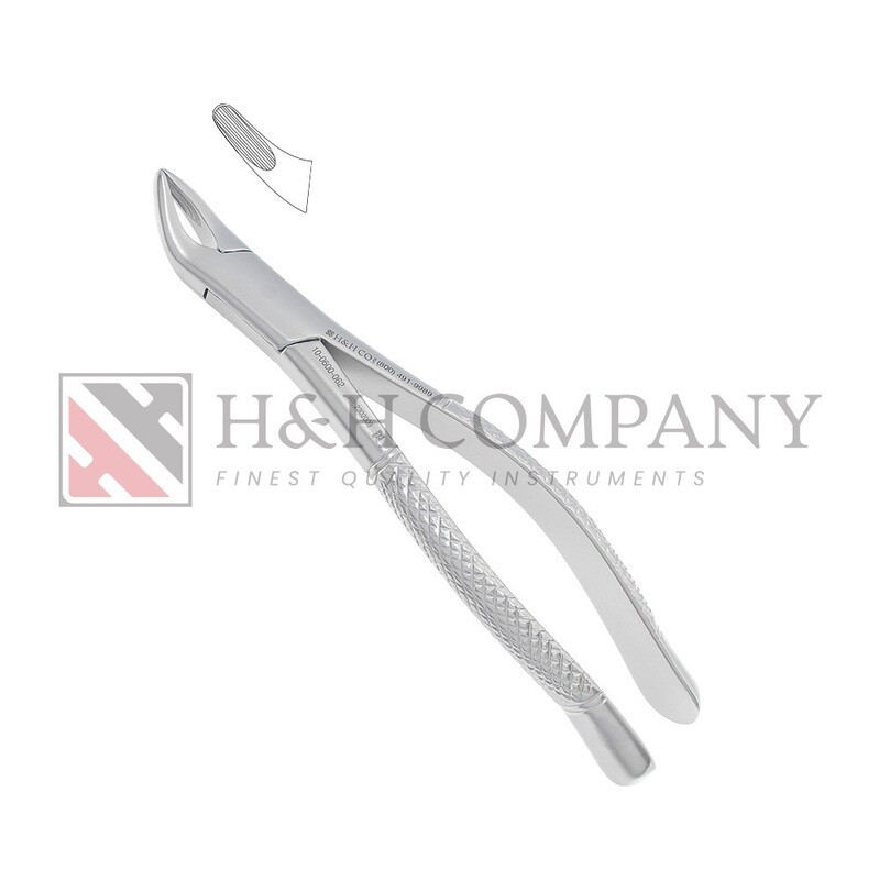 Extraction Forceps #62 Upper Universal