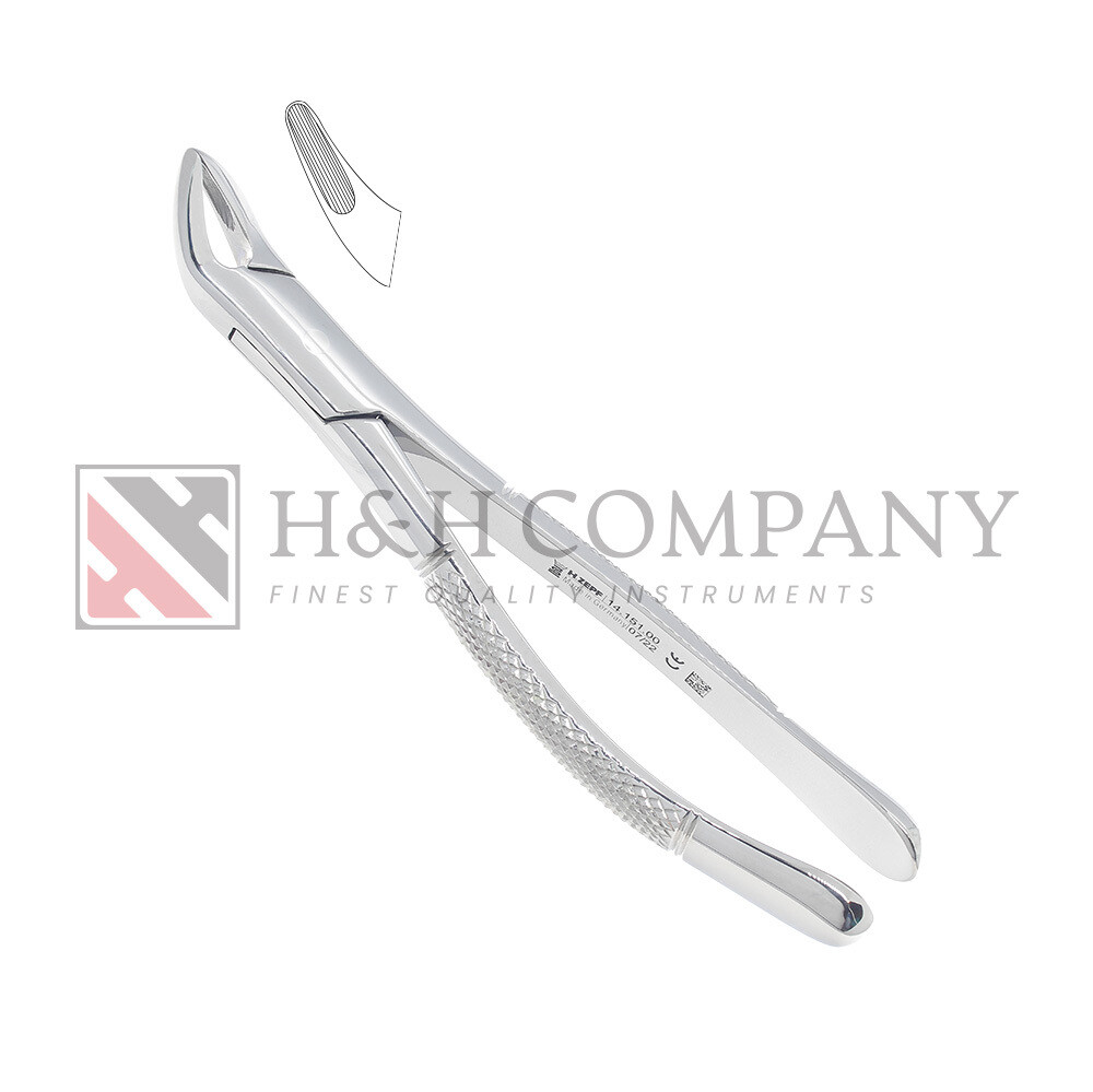 Extraction Forceps #151 Lower Universal (ZEPF 14.151.00) Extraction Forceps #151 Lower Universal (ZEPF 14.151.00)