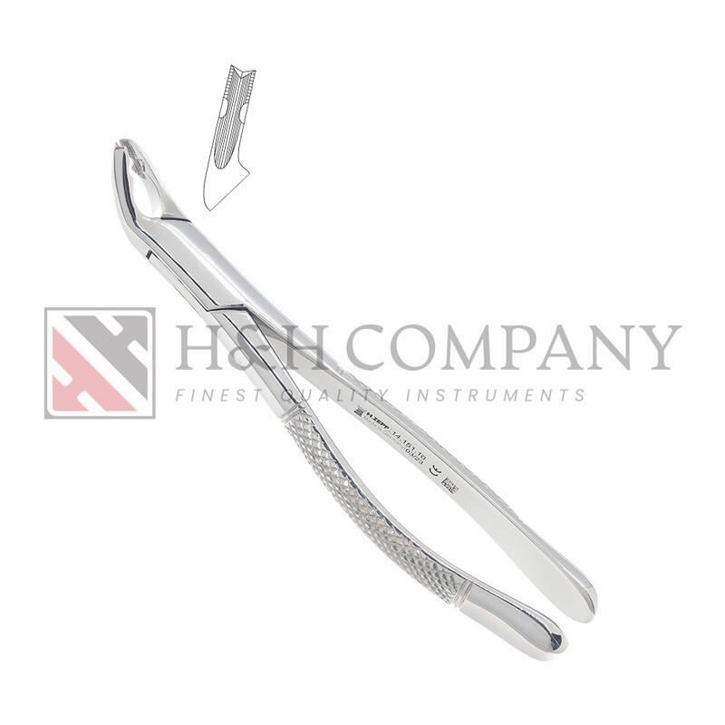 Extraction Forceps #151AB Lower Universal (ZEPF 14.151.10)
